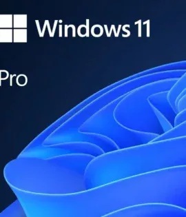 Microsoft Windows 11 Pro 64 Bits ES SIN DVD